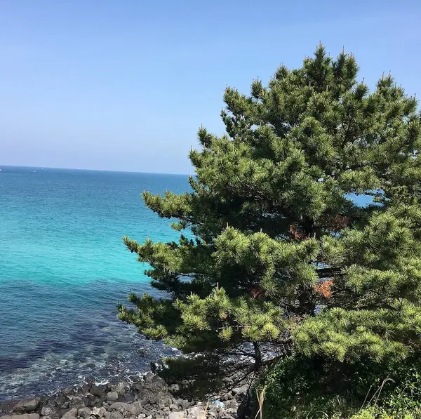 Güzel deniz manzarası