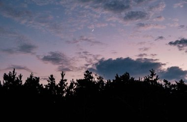 Ormanda güzel bir gün batımı