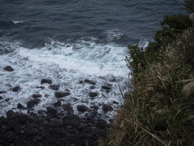 Deniz kıyısının güzel manzarası