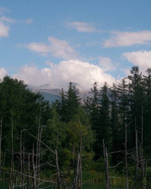 Doğanın güzel manzarası