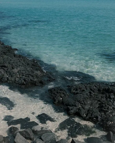 Deniz kıyısının güzel manzarası