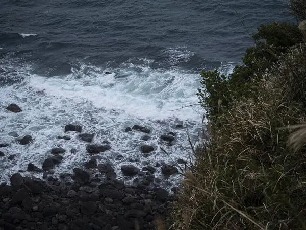 Deniz kıyısının güzel manzarası