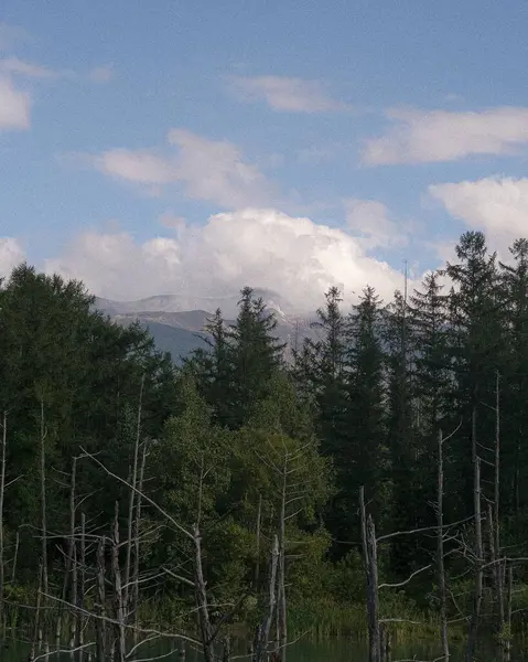 Doğanın güzel manzarası