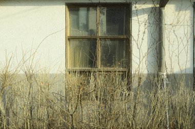 Şehirdeki eski pencere