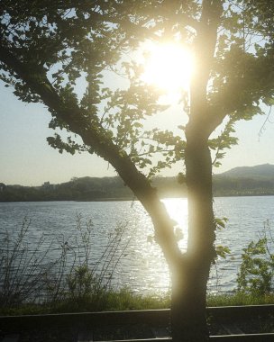 Doğal manzaranın güzel manzarası