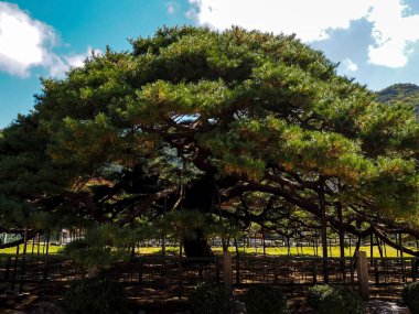 Parkın güzel manzarası