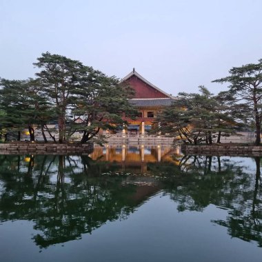 Şehir parkının güzel manzarası