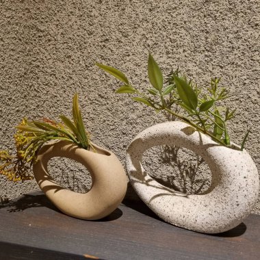 Güzel botanik fotoğrafı, doğal duvar kağıdı.