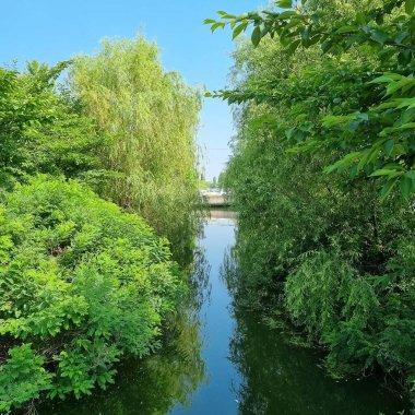 Nehrin güzel manzarası
