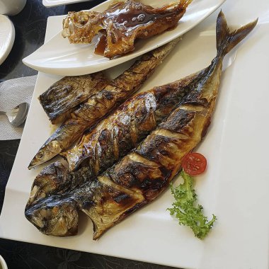 Beyaz tabakta ızgara balık ve sebze.