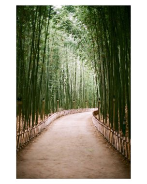 Parkın güzel manzarası