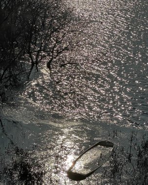 Göldeki güzel bir kuşun yakın çekimi.