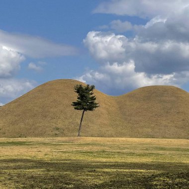 Doğa sahnesinin resimsel görüntüsü