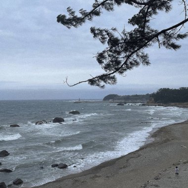 Deniz kıyısının güzel manzarası