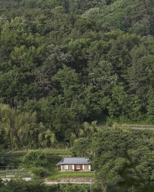 Ormandaki evin manzarası