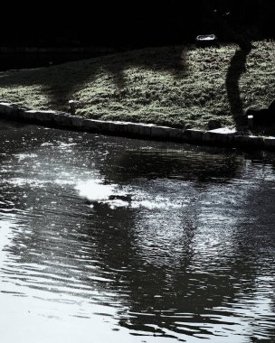 Güzel manzara. doğa arkaplanı