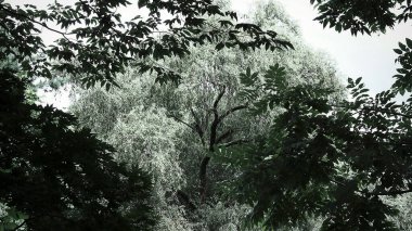 Dağların güzel manzarası