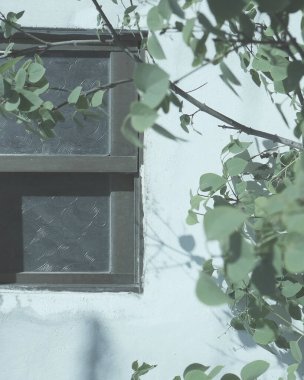 Ağacı olan eski ahşap pencere