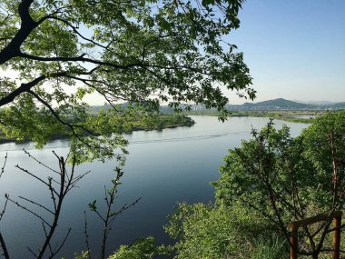 Ormandaki nehir manzarası