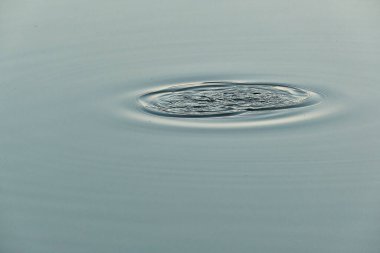 Göletin yüzeyine dalgalı su damlaları düşer.