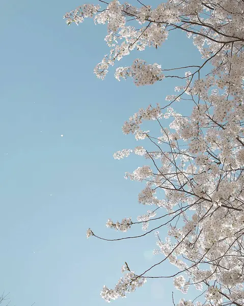 Doğanın güzel manzarası