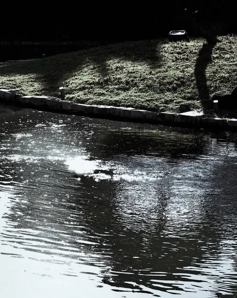 Güzel manzara. doğa arkaplanı