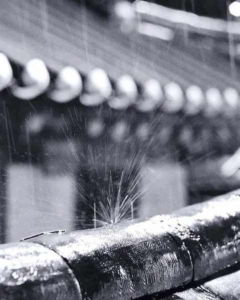 Siyah beyaz bir arabanın fotoğrafını çek.