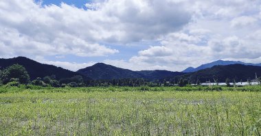 Dağları ve dağları olan güzel bir manzara