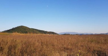 Arkasında bir dağ olan güzel bir manzara.