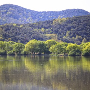 Parktaki güzel göl manzarası