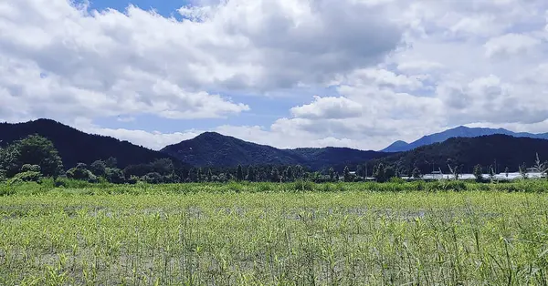 Dağları ve dağları olan güzel bir manzara