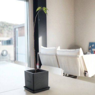 Beyaz duvarları ve penceresi olan modern oturma odasının içi