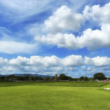 Çimen ve mavi gökyüzü olan güzel bir manzara.