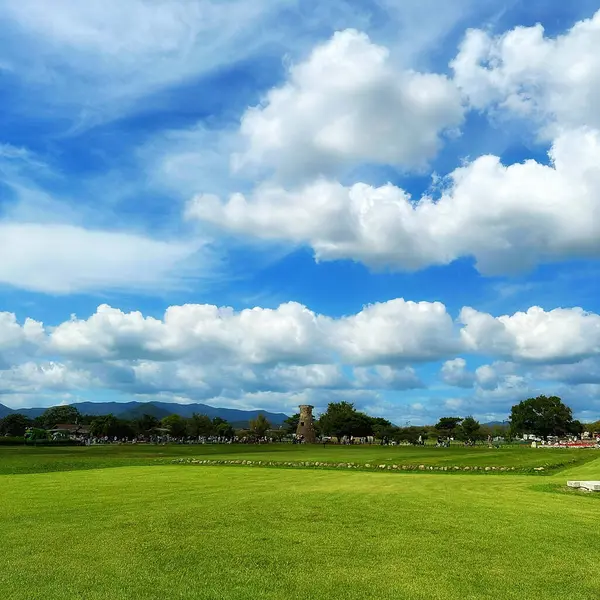 Çimen ve mavi gökyüzü olan güzel bir manzara.