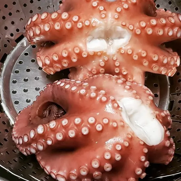 Pazarda taze ahtapot