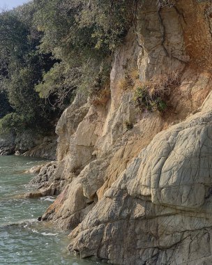 Güzel bir manzara. Doğa arkaplanı