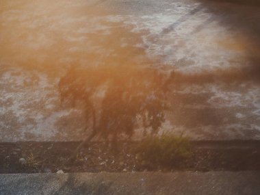 Bokeh ışıkları ve su ile soyut arkaplan