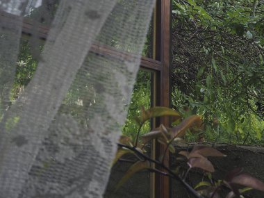 bir bardak su ile pencere