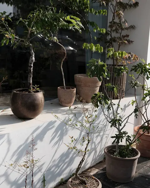 Güzel botanik fotoğrafı, doğal duvar kağıdı.