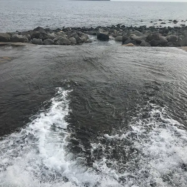 Sahildeki deniz dalgaları