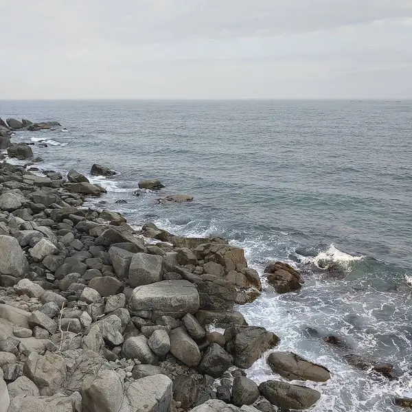 Bir sürü taşla kayalık bir sahilin dikey görüntüsü.