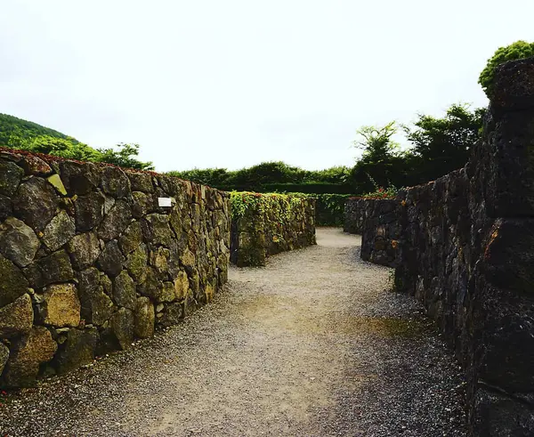 Parkın güzel manzarası