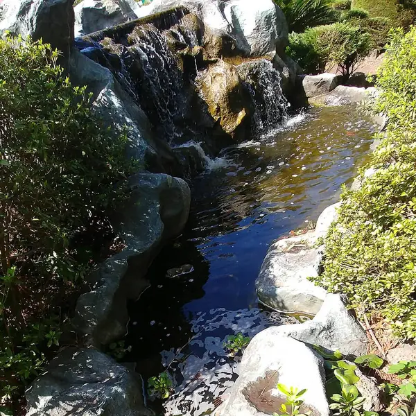 Parktaki güzel şelale