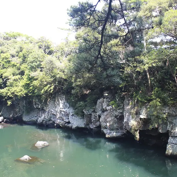 Dağlardaki nehrin güzel manzarası.