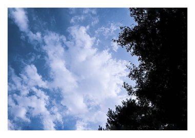 Ağaçlı güzel mavi gökyüzü