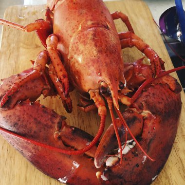 Beyaz masada ıstakoz..