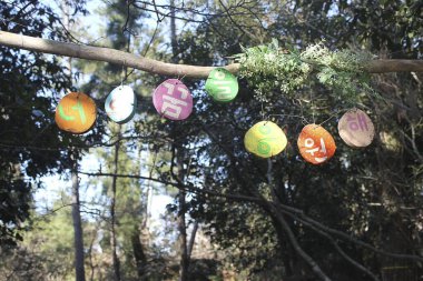 İpte bir sürü renkli paskalya yumurtası asılı duruyor. Paskalya konsepti.