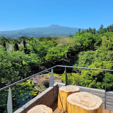 Japonya 'nın doğasının güzel manzarası.