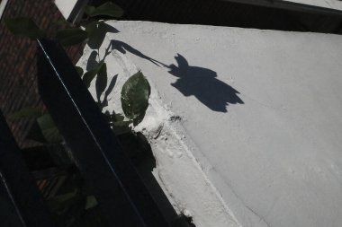 Şehirdeki terk edilmiş eski bina.