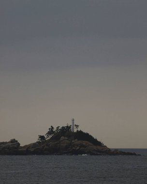 Arka planda bir ağaç ve deniz fenerinin dikey görüntüsü.